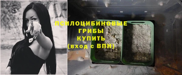 дурь Арсеньев