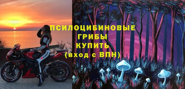 дурь Арсеньев