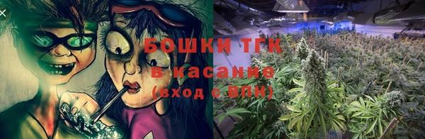 дурь Арсеньев